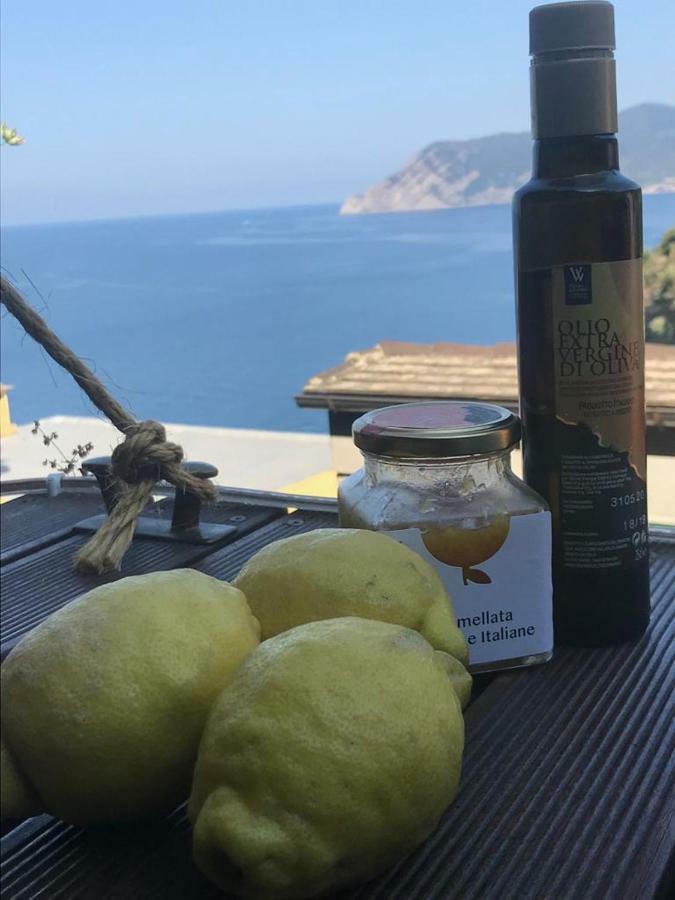 Il Magan - Cinque Terre Villa Corniglia Exterior foto